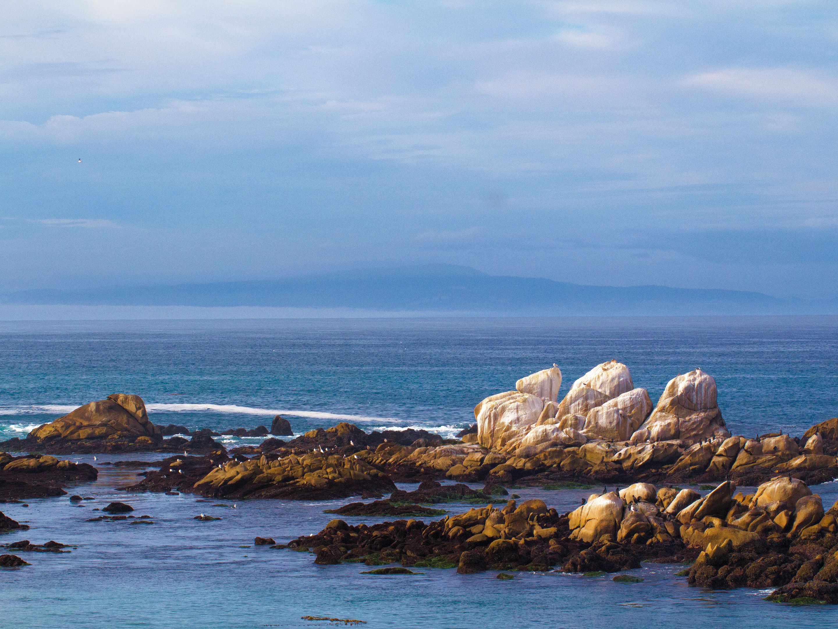 off the coast of Monterey