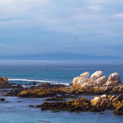off the coast of Monterey